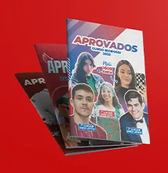 Biorossi Mosaico Agência de Marketing Digital 360º